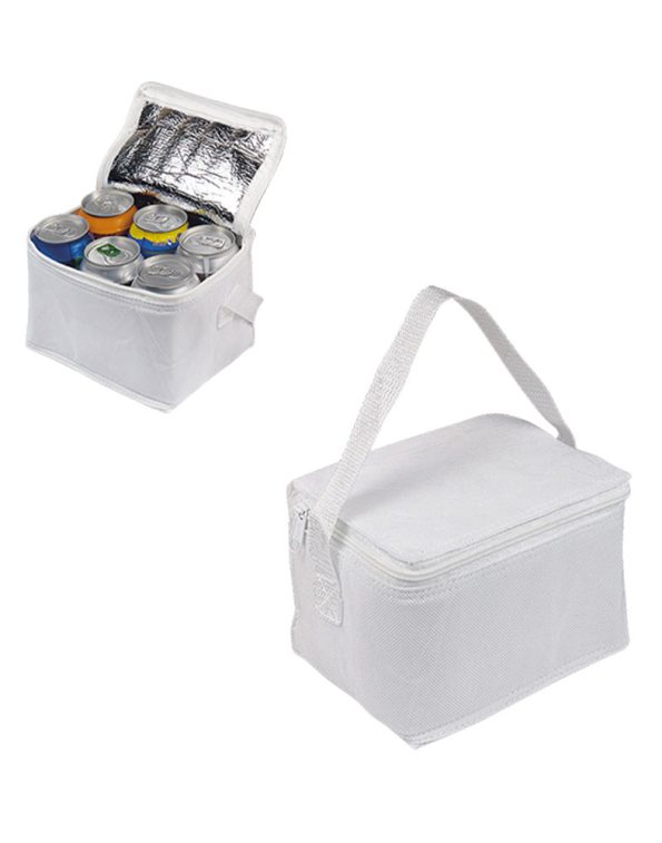 cooler-bag